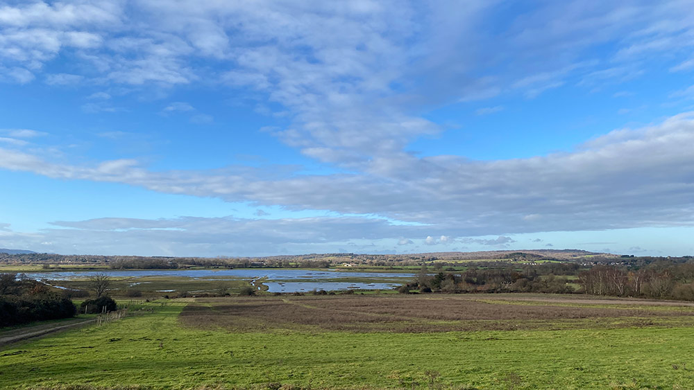 Pulborough Broosks RSPB